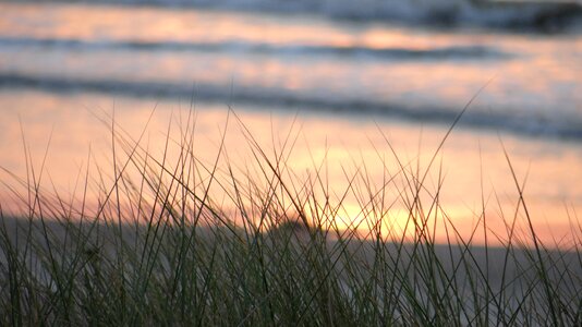 Evening shore evening marine sunset