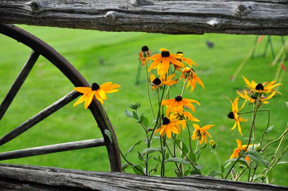 Country farm rustic