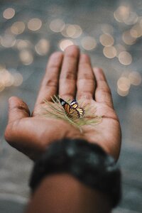 Bokeh conceptual freedom