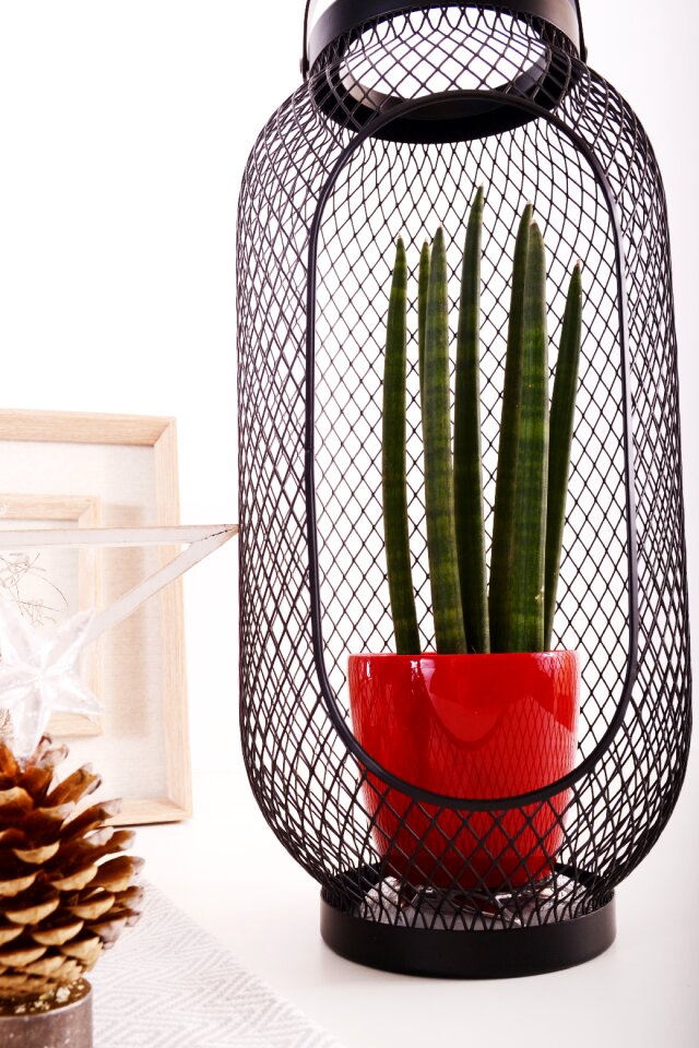 Red interior design