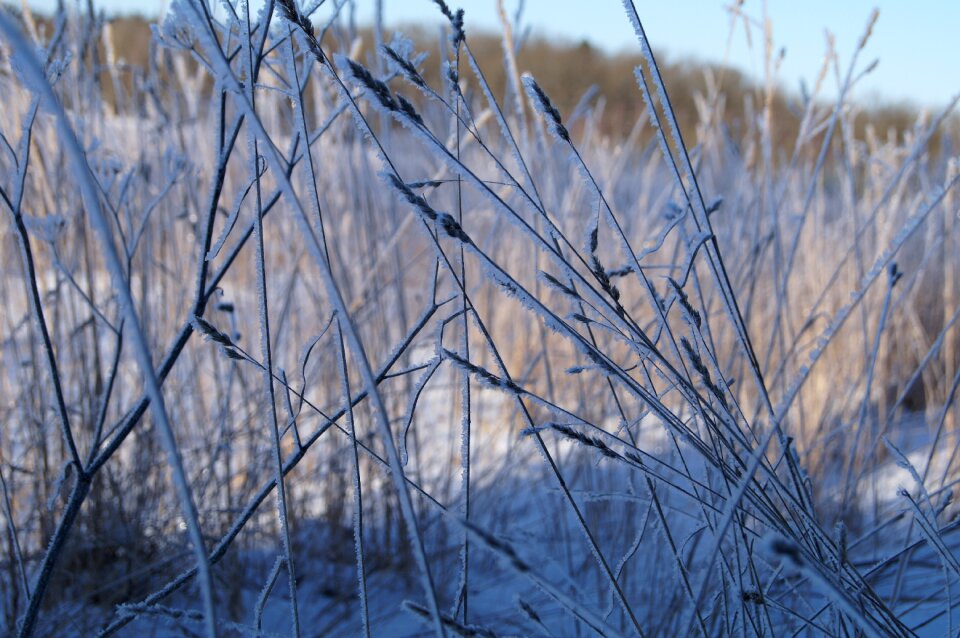 Winter winter magic snow
