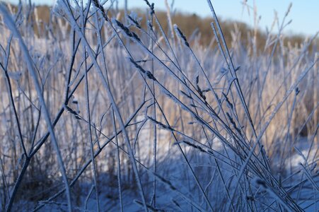 Winter winter magic snow