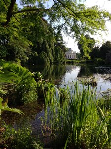 Landscape garden lake