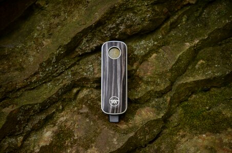 Vaporizer moss
