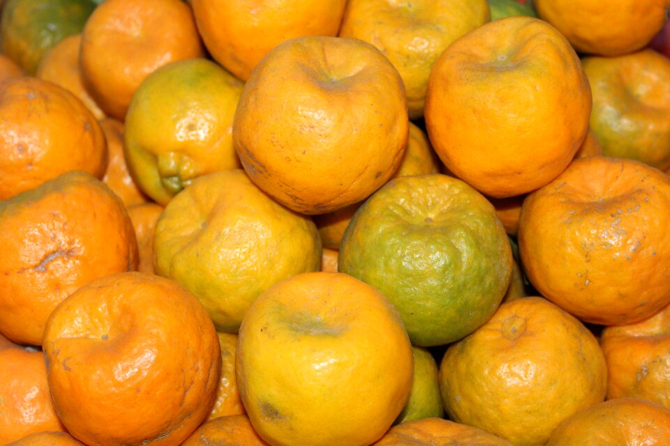 Fruit orange fruits