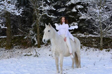 Horse riders white