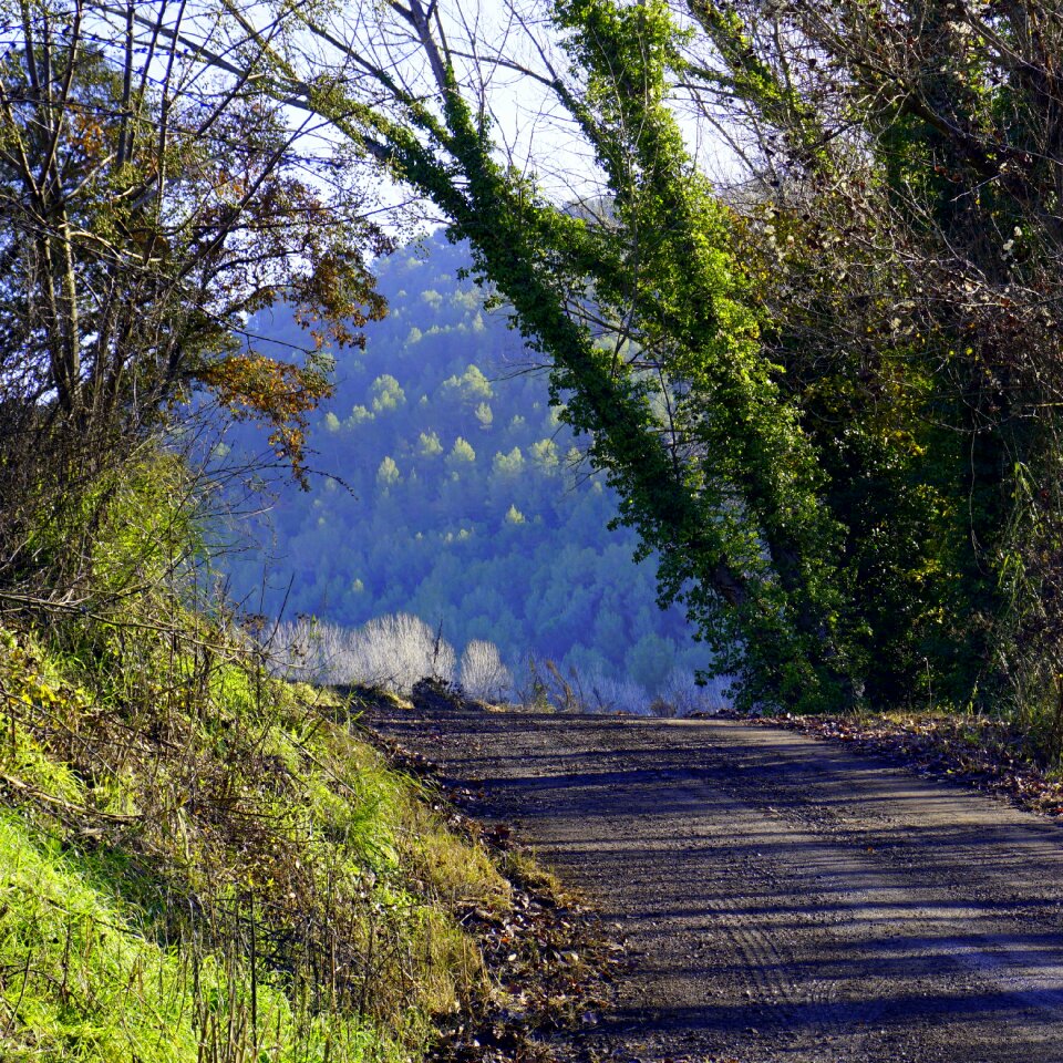 Nature field mountain