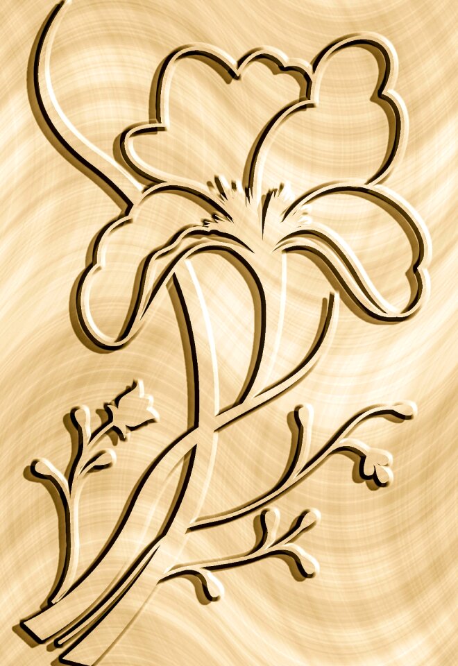 On wood background playful