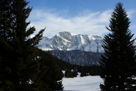 Snow snow-capped mountains fir photo