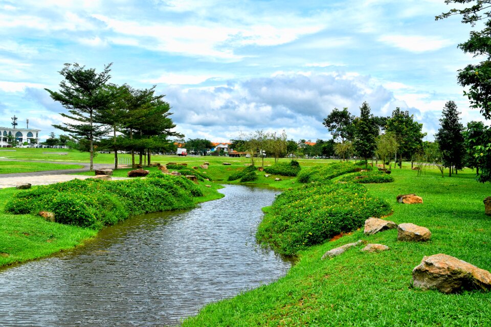 Nature water forest