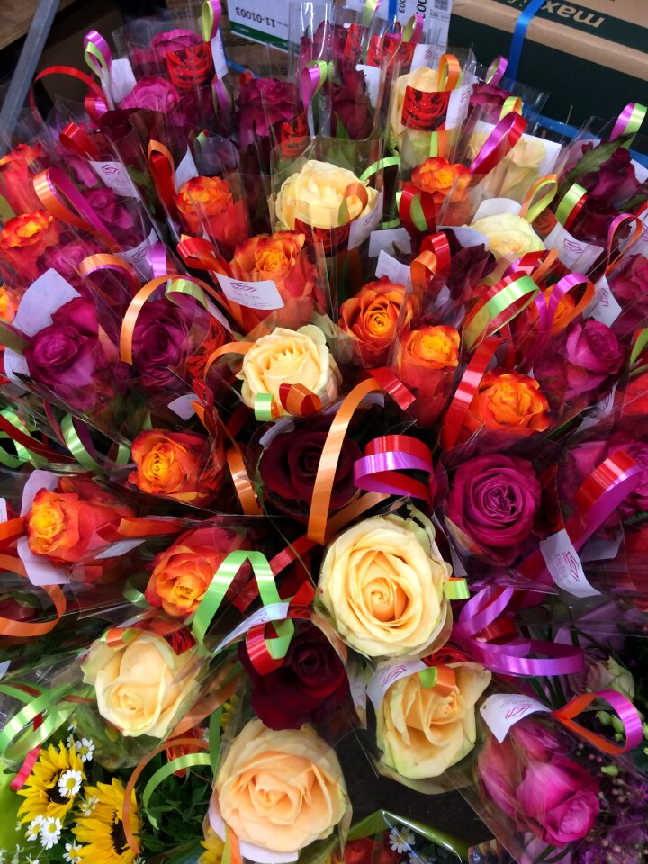 Flower bouquet bunch of flowers
