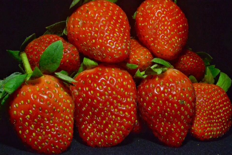 Fresh nature healthy