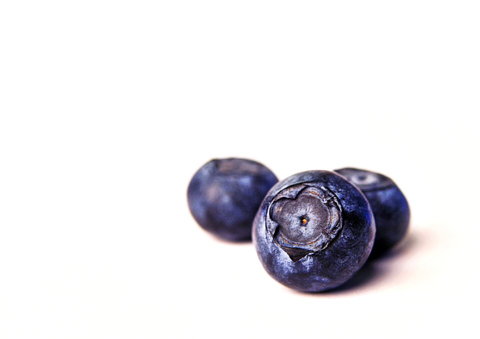 Blueberry soft fruit macro