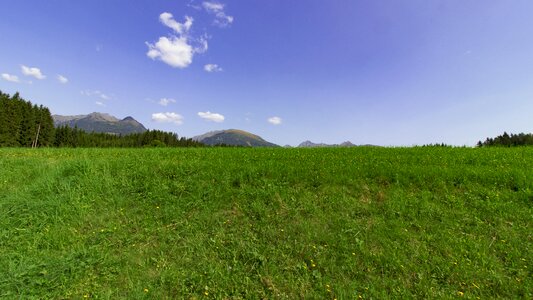 Landscape salzburg country summer photo