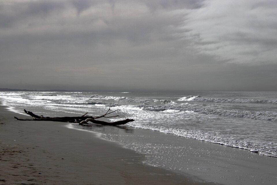 Water the waves the coast photo