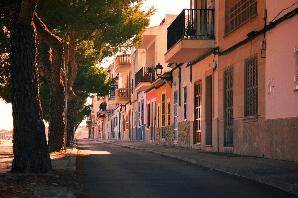 Trees colorful spain
