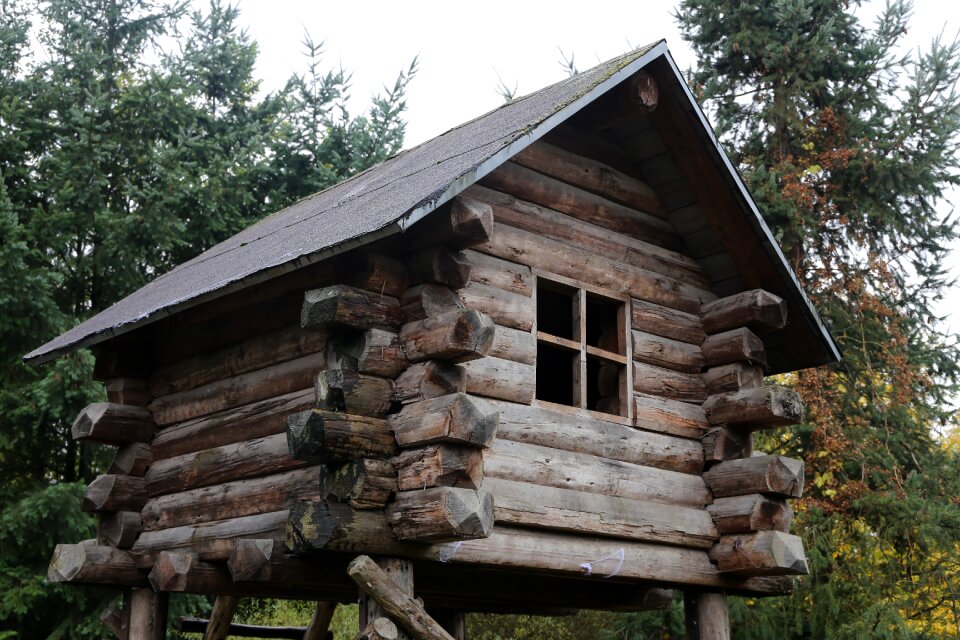 Nature house home