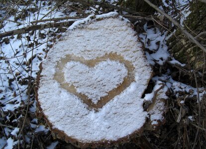 Snow tree stump snow heart