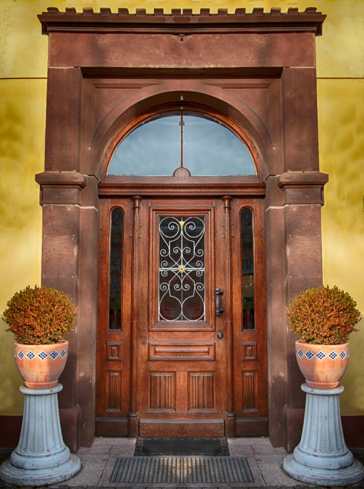 Oak input old door