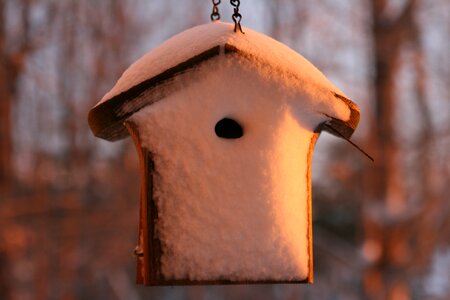 Snowed in nature winter photo