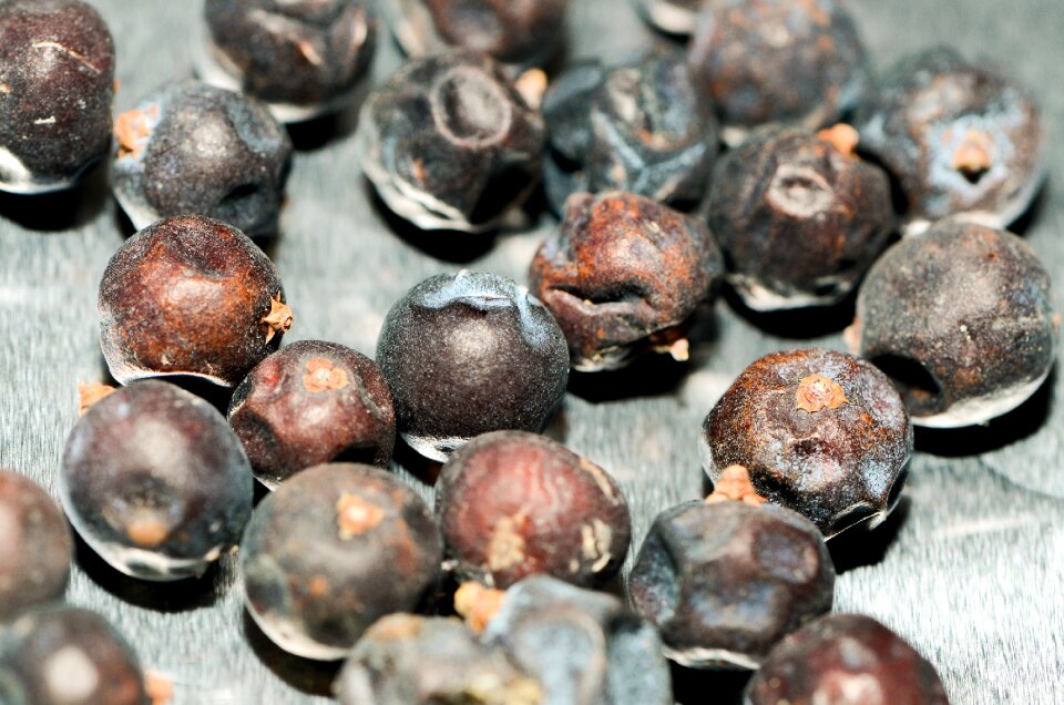 Plant berry berries