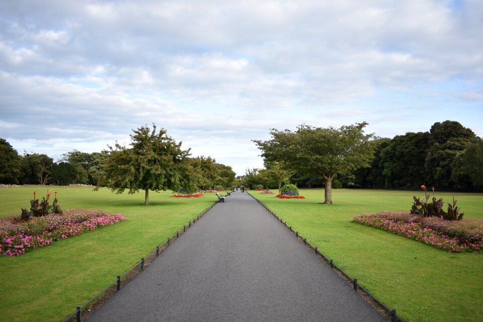 Landscape design panorama photo