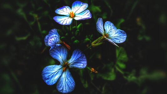 Green blurred background