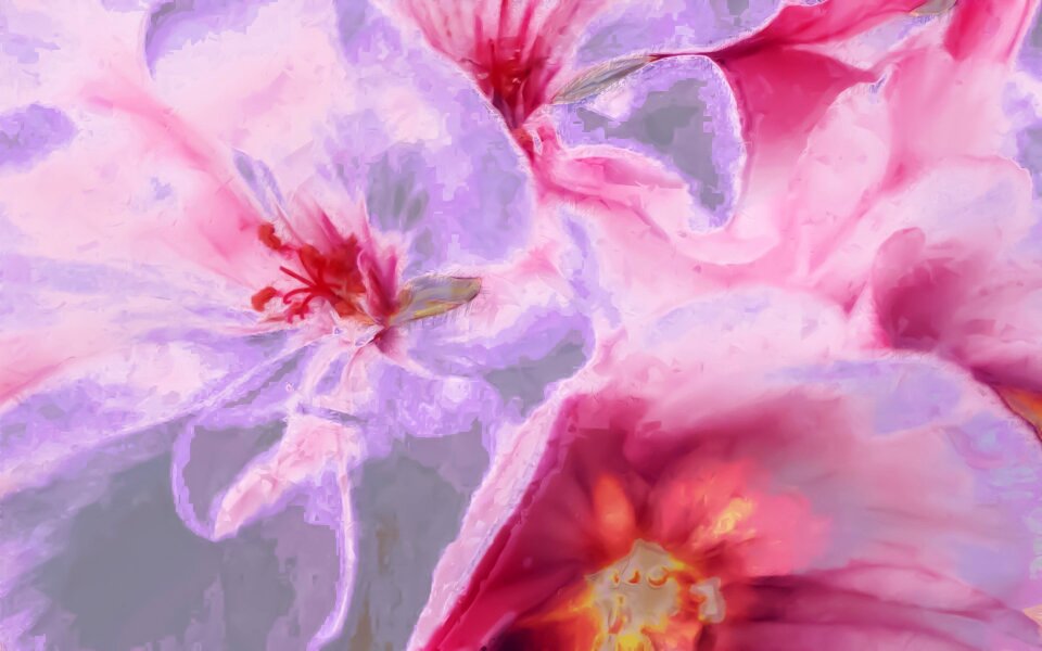 Color pink painting pink paint