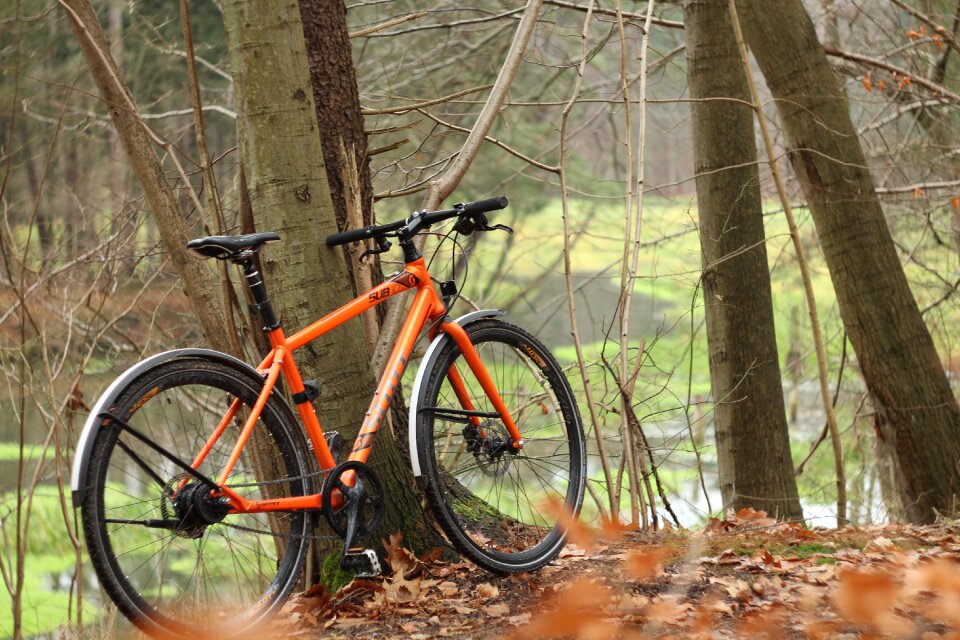 Forest cycling photos