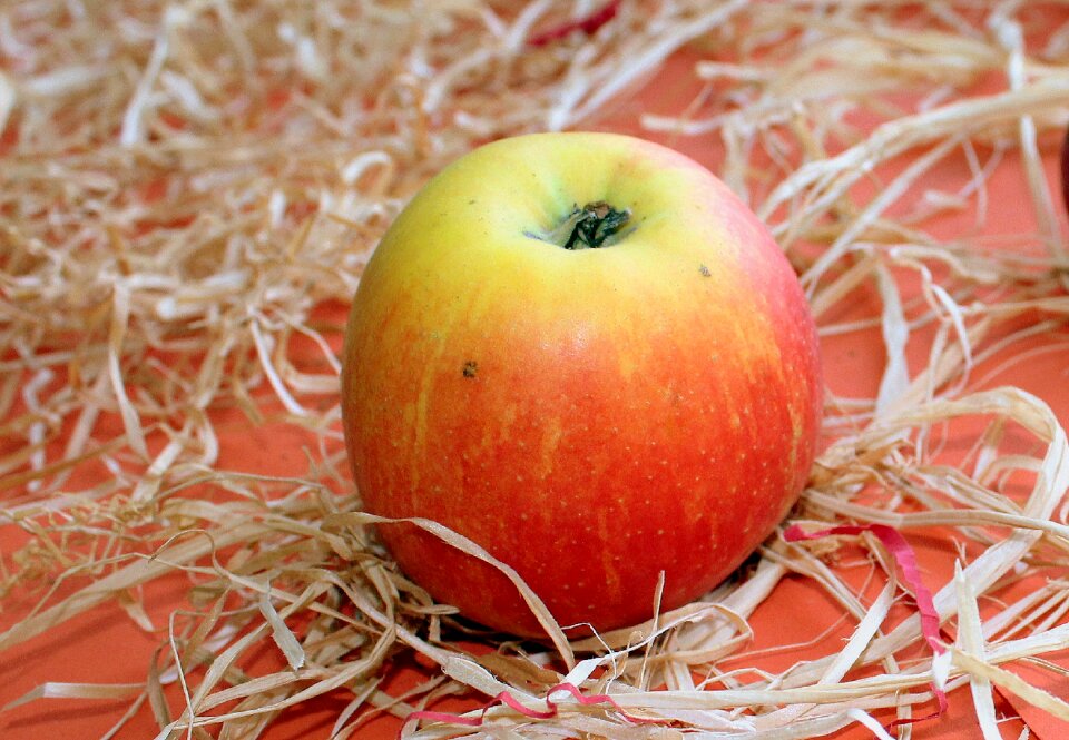 Fruit growing autumn collections