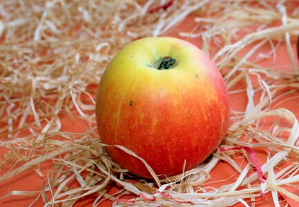 Fruit growing autumn collections