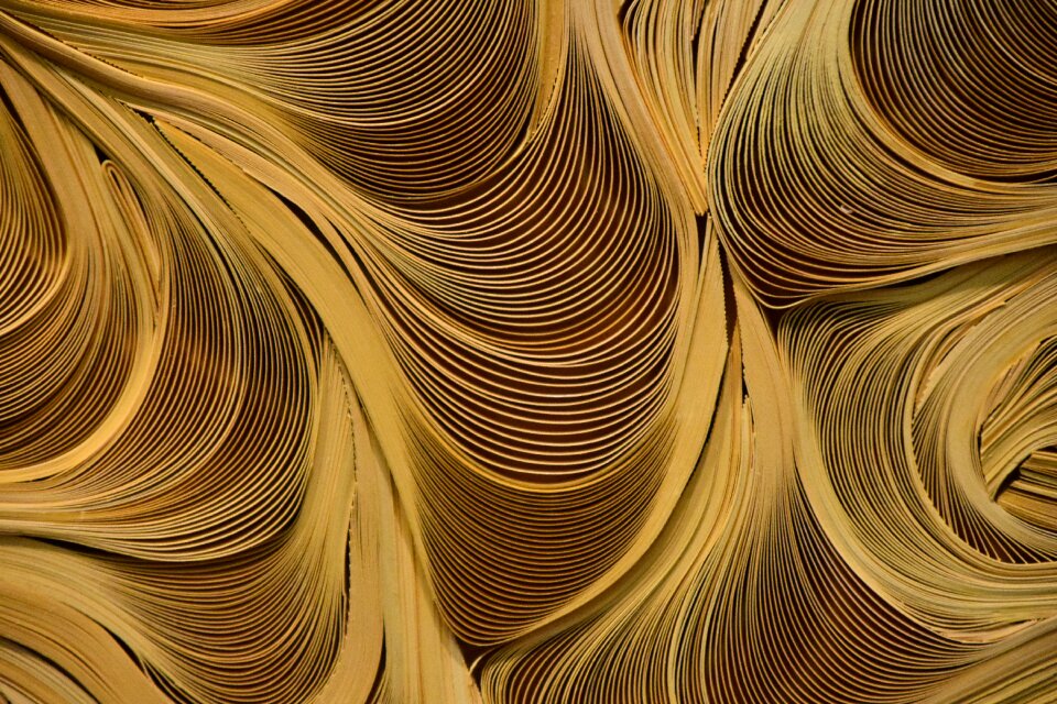 Eddy paper art yellow