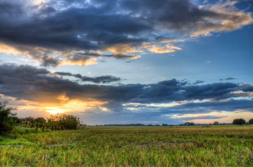 Farmer field carabao photo