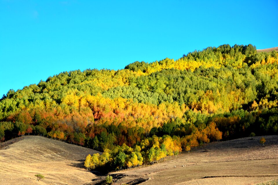 Beautiful outdoor landscape photo