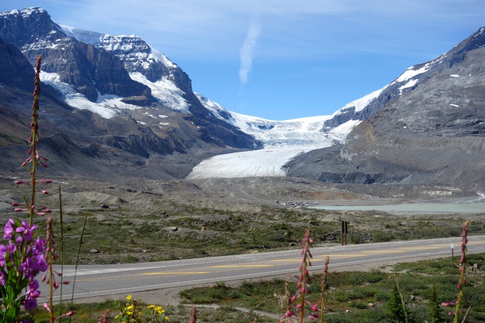 Plant canada icefield