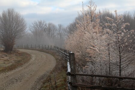Winter scene