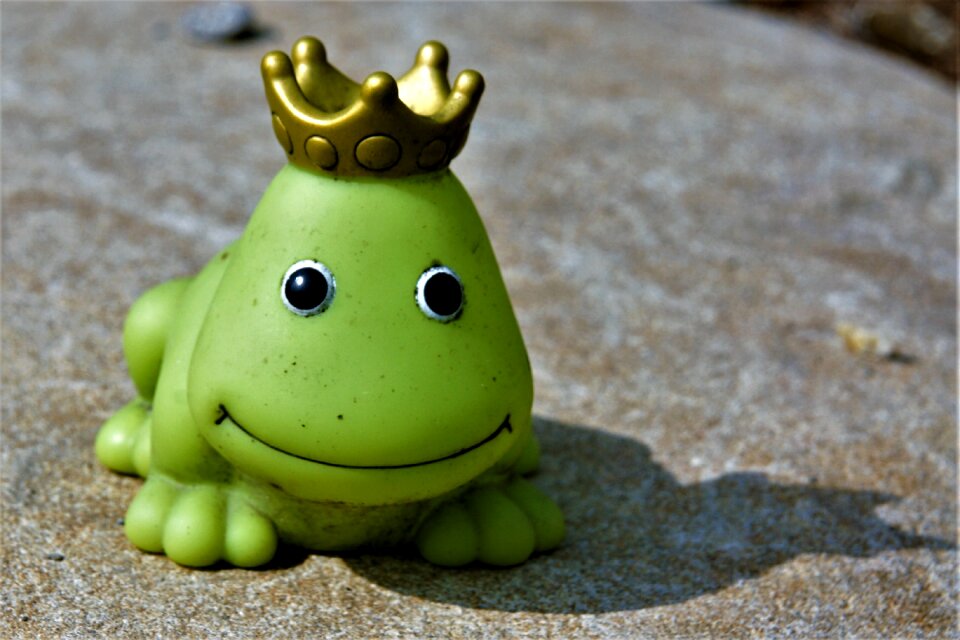 Animal figure funny