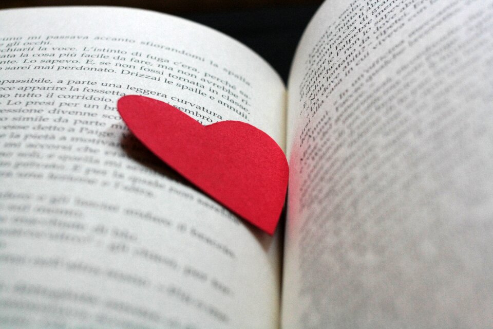 Reading open book history