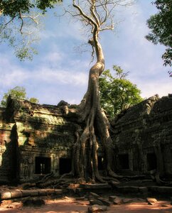 Temple angkor angkor wat photo