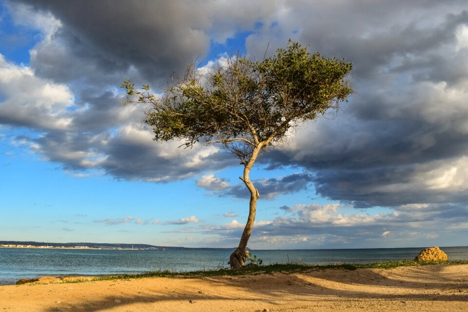 Beach sea landscape