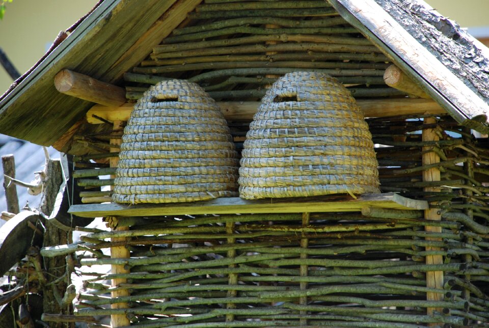 Hive honey bee bee keeping