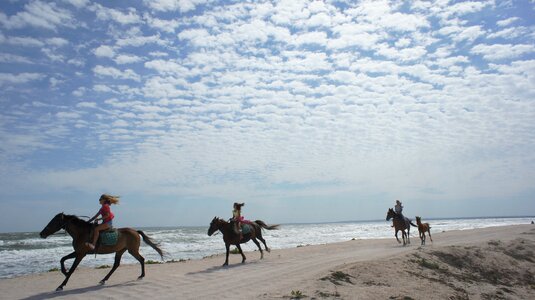 Seascape travel russia