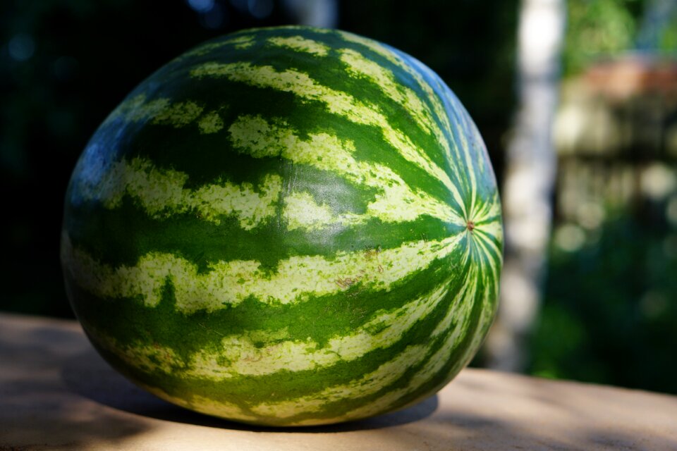 Juicy green sweet