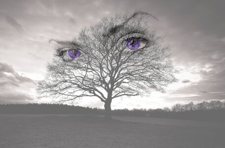 Fantasy photoshop manipulation clouds