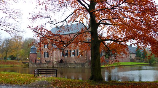 Fortress pond autumn leaves