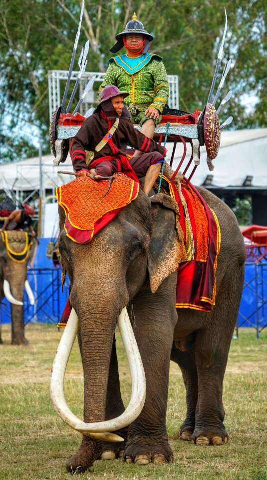Surin thailand