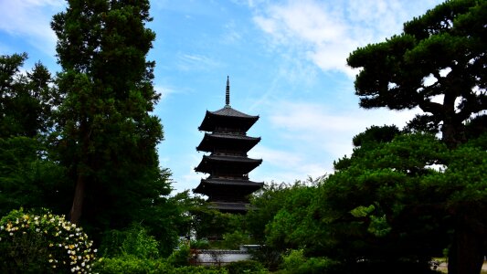 Five story pagoda history natural photo