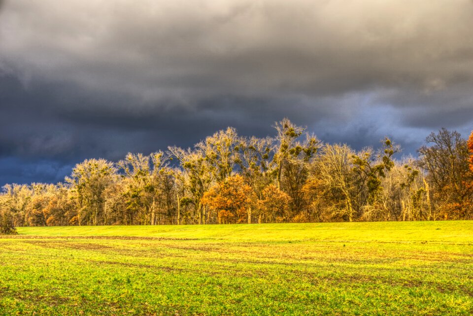 Green sunlight abendstimmung