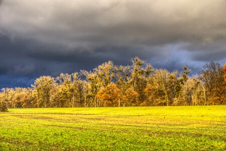 Green sunlight abendstimmung photo