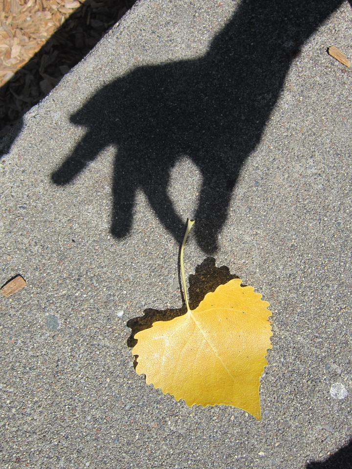 Silhouette hand touching